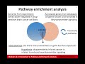 Introduction to Pathway and Network Analysis