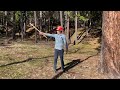 How to Measure the Height of a Tree - Simple