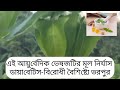 পিরিয়ড মাসিক রোগে উলটকম্বল // Herbal Plant for Painful Periods and Menstruation