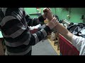 Vrhunski set vežbi za nameštanje ručnog zgloba/TOP adjusting of the wrist - Saša Nikolić