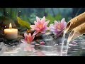 Soothing Relaxation Music, Relaxing Piano Music, Sleep Music, Water Sounds, Relax Music, Yoga & Spa