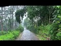 Heavy rainfall in Indonesian beautiful village||walking in rain||for insomnia