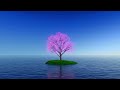 1 hour of ambient music for meditation #meditation #ambient #relax