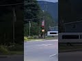 Maggie Valley Night Life ELK in the road