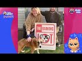 Mama Cat And Scared Dog Find The Sweetest Heroes ❤️  | Loveables | Dodo Kids