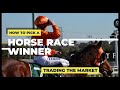 Learn How To Pick A Horse Race Winner