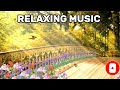 Meditation Music|Meditation Music Relax Mind Body|10 Minutes Meditation Music.