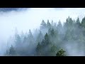 Redwood National Park 4K Ultra HD • Stunning Footage, Scenic Relaxation Film with Calming Music