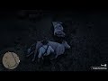 Red Dead Redemption 2_20230920174538