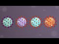 How new variants affect the coronavirus: Science, simplified