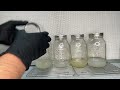 Maximizing Mycelium: How to Combine Jars of Mushroom Liquid Culture