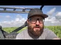 Interseeding Cover Crops With Milo/ Sorghum