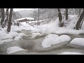 4K HDR Snowy Stream - Winter Forest Scenery & Brook Sounds - Snowfall & Flowing Water - Relax/ Sleep