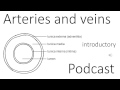 Cardiovascular System 6, Arteries and veins podcast