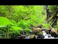 Most Famous Beautiful Piano Love Songs Of All Time 🌿 Beautiful Relaxing Piano Music