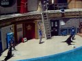 Sea lions' performance @ Sea World (3 of 3)