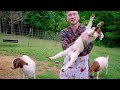 Farm Chores with Matt Mathews | Farm Life | Farm Chores