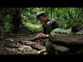 60 Days Solo Survival Camping : Survival Shelter in the Rain, Fishing and Cooking. Full Video