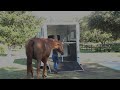 Horse Geeks Hacks Loading An Anxious Horse Into A Trailer