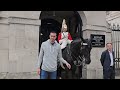This Horse really knows How to Play The Tourists and defends his Personal Space!