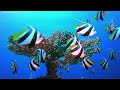 The Ocean 4K - Beautiful Coral Reef Fish in Aquarium, Sea Animals for Relaxation(4K Video Ultra HD)