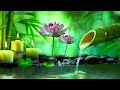 Relaxing Music to Relieve Stress, Anxiety and Depression 🌿 Heals The Mind, Body and Soul #37