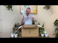 Planthaven Toronto Houseplant Unboxing (2023)