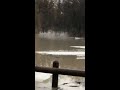 toledo ohio flooding 2019 pt 2