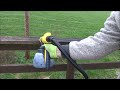 Is Amazons No 1 Fence Sprayer Any Good