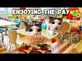 CAT MEMES: THE ULTIMATE FAMILY ROADTRIP HALF HOUR COMPILATION