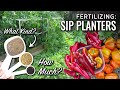 Improved: Self-watering SIP Raised Bed (Wicking Planter) Construction Tutorial & Tips