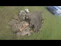 Massive Hornet Nest Removal