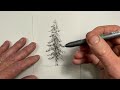 Draw a Real Looking Tree in 3 Minutes! - 3 Easy Steps