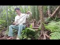 FULL VIDEO 30 Days of survival building a bamboo house for shelter