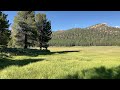 Big Meadow - Sequoia NF