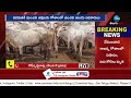 Vemulawada Rajanna Temple Officials Negligence On Caring Of Holy Cows|వేములవాడ రాజన్న గోశాలలో విషాదం