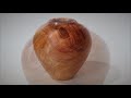 Woodturning - A Plum Crotch Hollowform