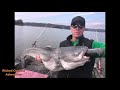 Locating Big Catfish - The Right Place at the Right Time with the Right Bait