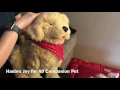 Hasbro's Joy for All Pet, interactive puppy