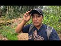 Wild chicken nahuli sa bitag ng mga mangangaso sa bundok endagered species