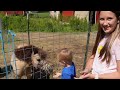 Explore on the Farm! 🚜🐔🐷 Farm Animals for Kids | Farm Adventures for Toddlers | Tractors and Horses