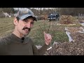 How to Prune Young Fruit Trees - Apple, Peach, Plum