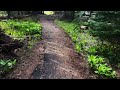 Hiking Little Crater Lake Trail to Swampy Flooded Planks! | Timothy Lake | Mount Hood | Oregon | 4K