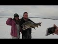 4 Days Fishing & Camping in Alaska - Lake Trout Catch & Cook (Catching Every Fish in Alaska)