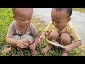 boy harvests wild bananas to sell / ly tam ca