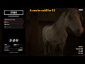 You'll Find This Horse Only Once In The Entire Game - RDR2