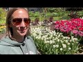 Spring Gardening Vlog, Tulips at the Flower Stand, Deadheading Daffodils, Baking Pane Di Pasqua