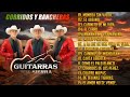 Las Mejores Canciones De Guitarras de la Sierra - Corridos y Rancheras Para Pistear Mix 2024