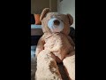 Unboxing an extra large teddy bear from amazon.