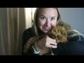 MEET MY NEW PUPPY! | Bringing him home, my first month with him | 12 week old Cavapoo
